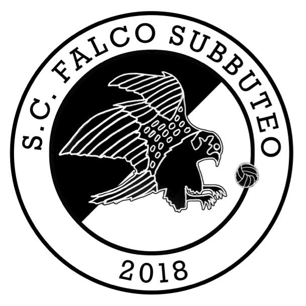 Sport-Club Falco Subbuteo e.V.